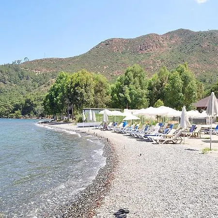Anerissa 3*