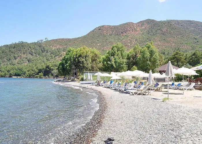 Anerissa 3*